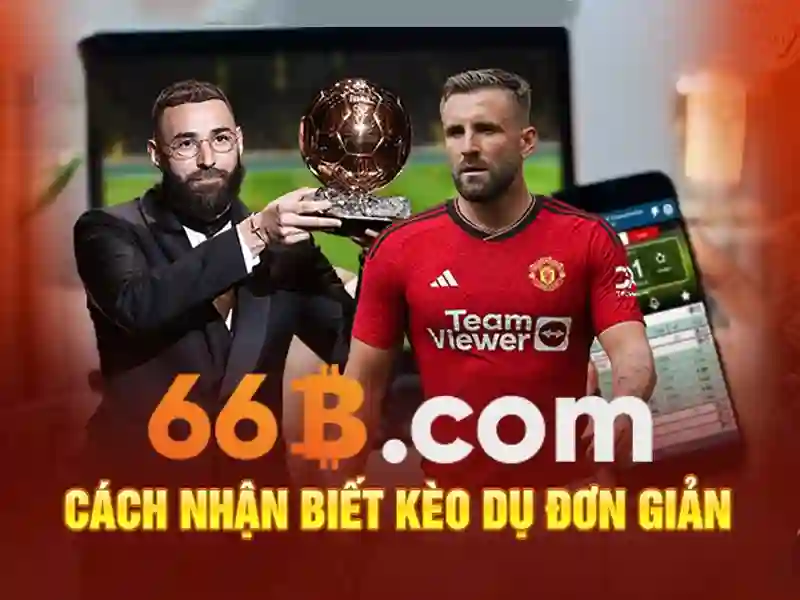 66b: Đánh giá toàn diện nền tảng cá cược trực tuyến tối ưu cho SEO