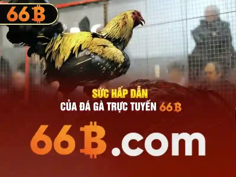 66B di động - 66B