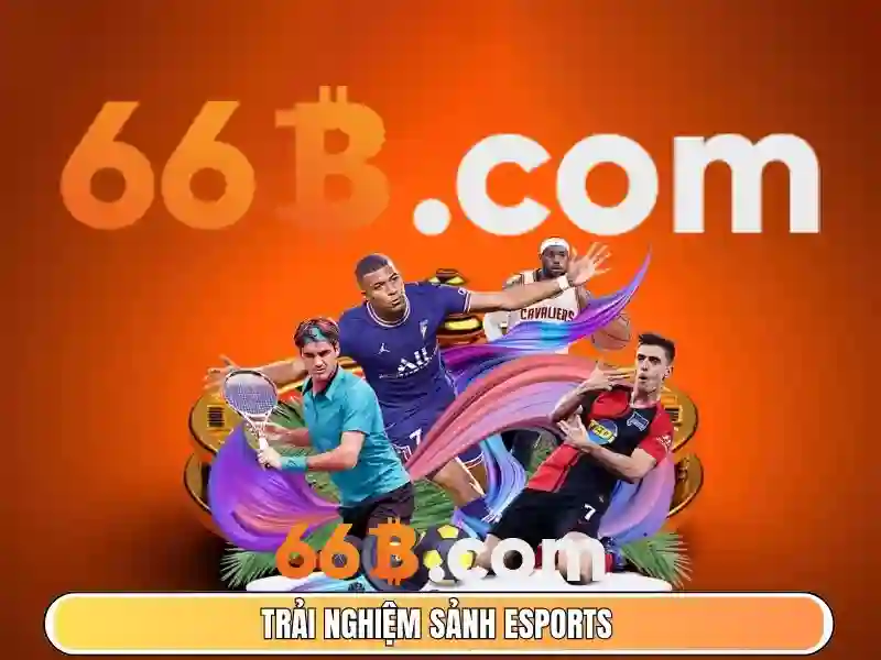 hỗ trợ 66B - 66B