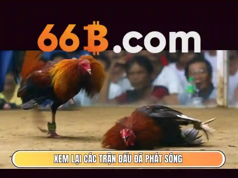 slot đỉnh cao - 66B