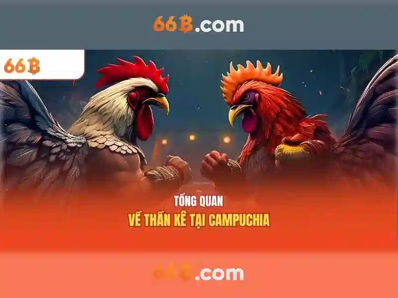  giải trí đỉnh cao - 66B