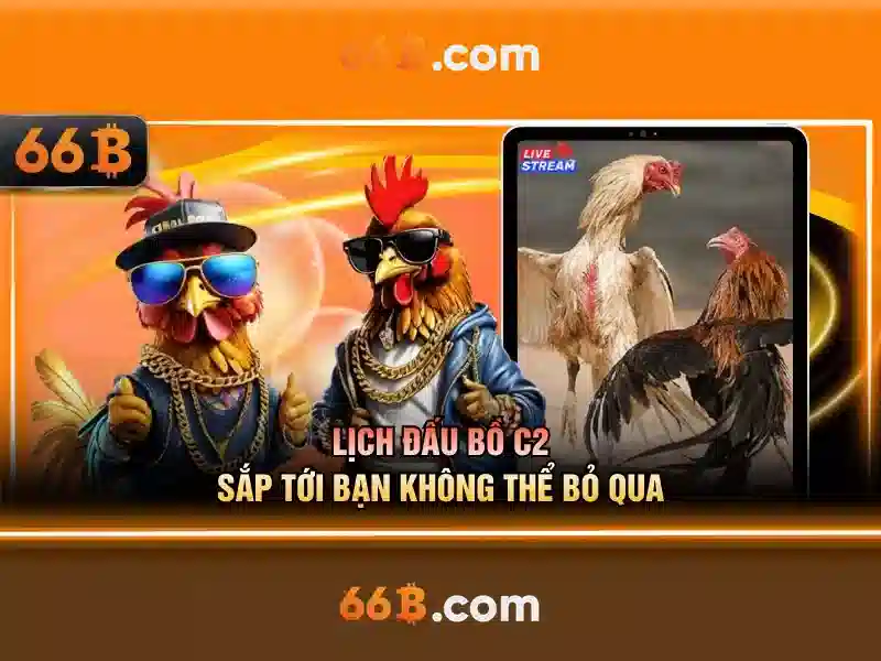  cờ vua - 66B