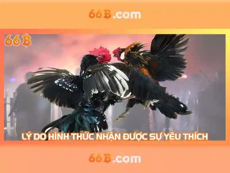 66B – Trang Chủ 66B Uy Tín, Chơi Slot Online Đỉnh Cao 2026 - 66B