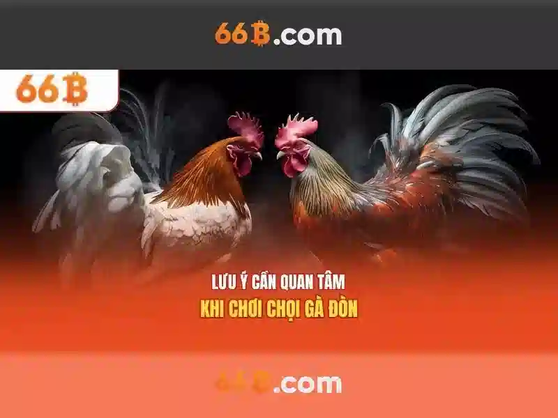  hướng dẫn rút tiền Slot 66B - 66B