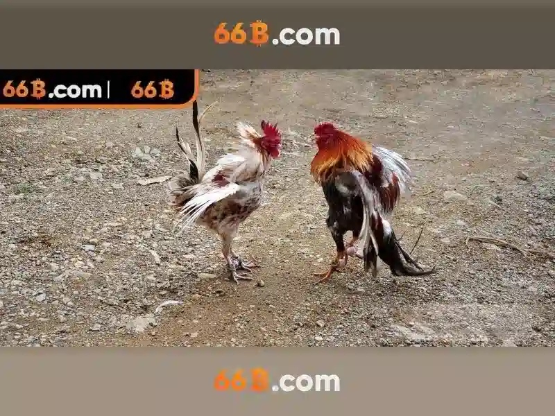 Trang Chủ 66B – 5 Mẹo Chơi Siêu Đỉnh Để Trở Thành Cao Thủ - 66B