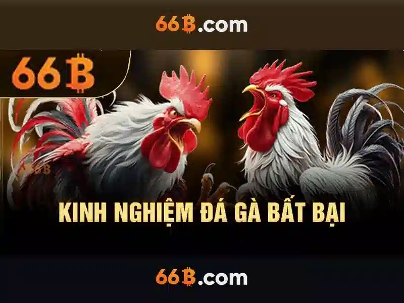 Tải app 66B về iOS và Android nhanh chóng, cược tiện lợi 66b mới - 66B