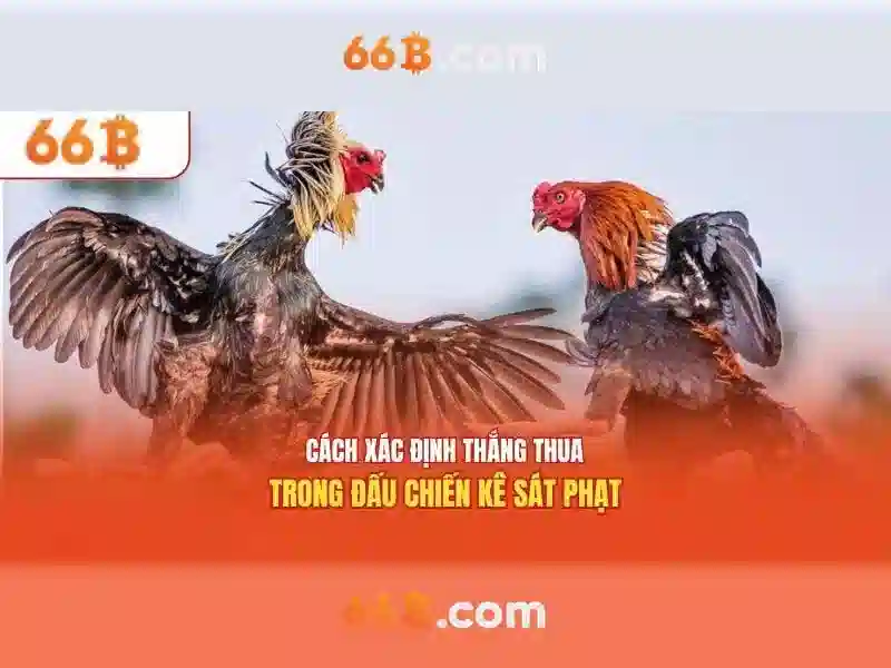 slot 66b – Nơi Giao Thoa Giữa Kịch Tính Và Sức Hút Không Ngừng - 66B