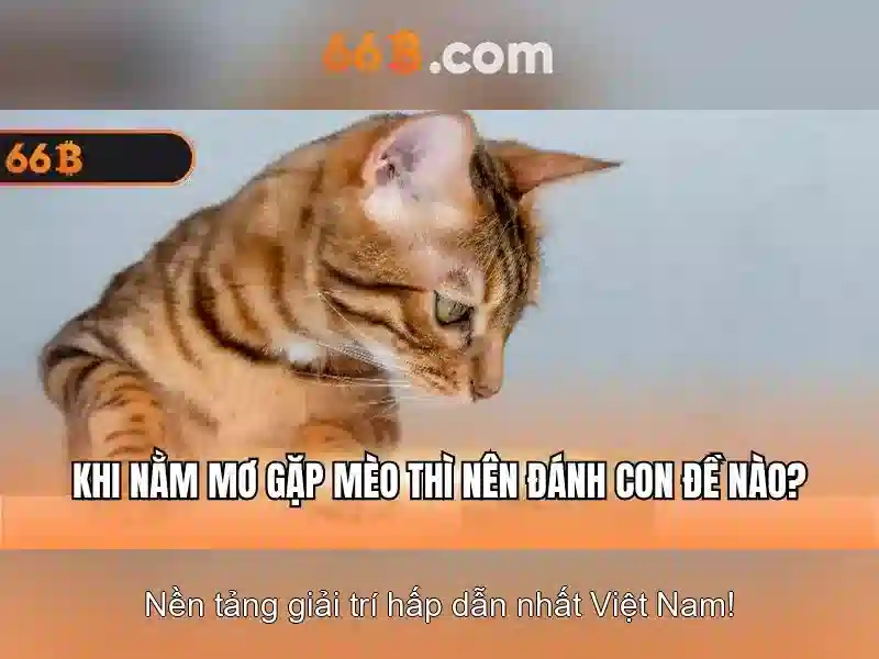  link tải 66b apk - 66B