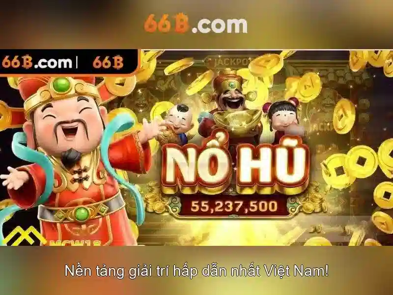  giấy phép hoạt động - 66B
