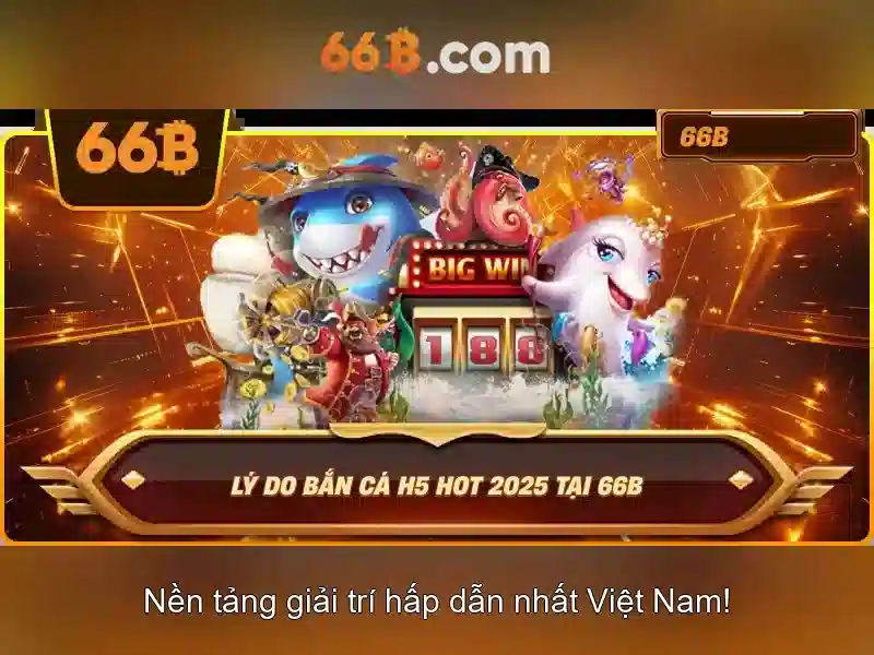 66B - 66B