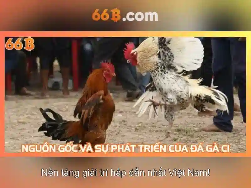 Tải app 66B về iOS và Android nhanh chóng, cược tiện lợi - 66B