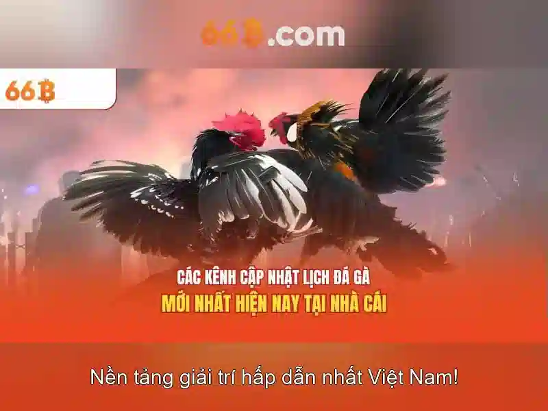 rút tiền an toàn 66b - 66B