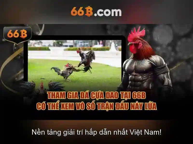  66b chính thức - 66B