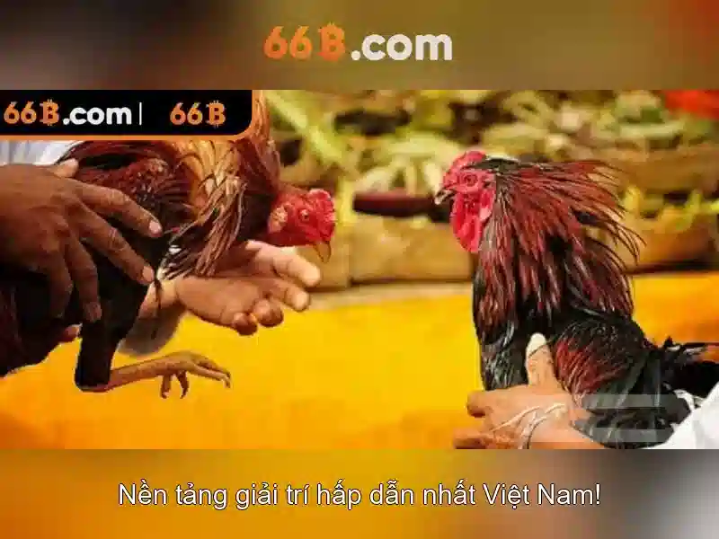 Casino 66B - 66B