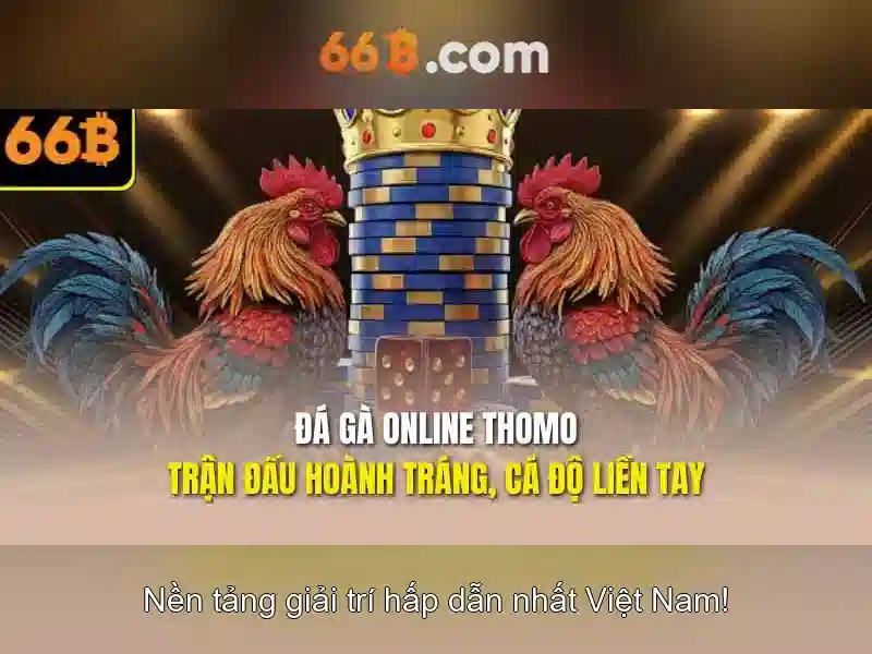 66B - 66B