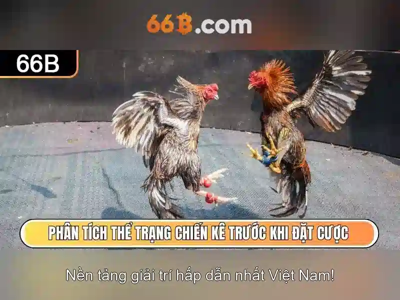  trò chơi Slot - 66B