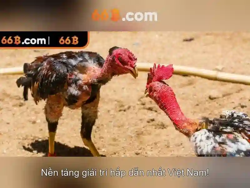 Rút Tiền 66B | Hướng Dẫn Chi Tiết An Toàn và Nhanh Chóng 2026 - 66B