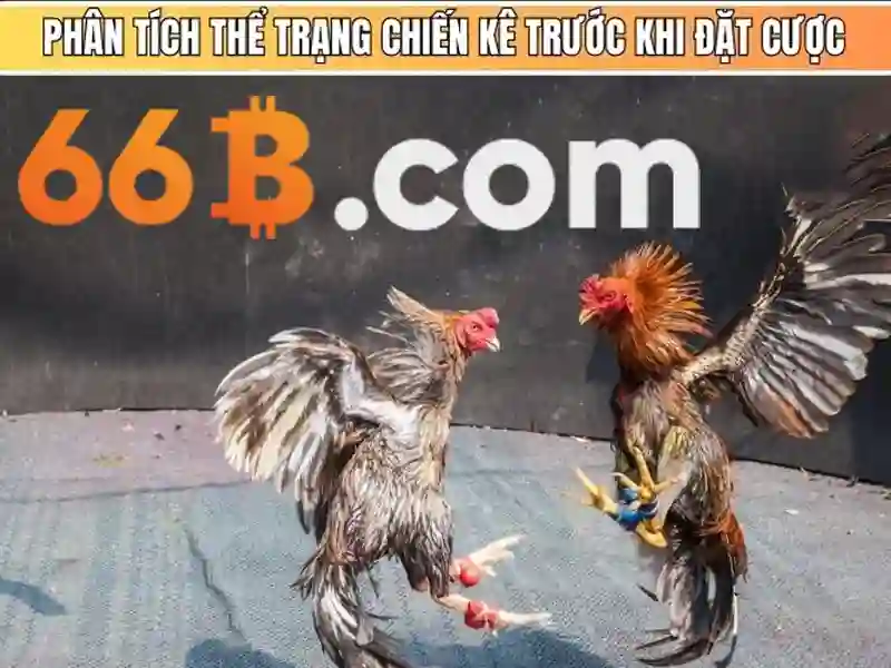 66B - 66B