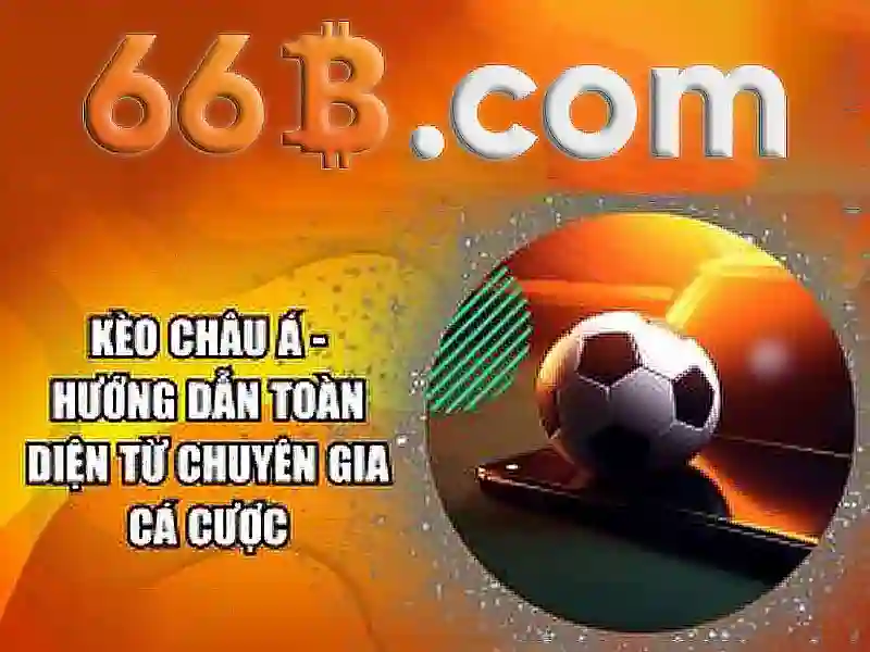  trải nghiệm cá cược - 66B