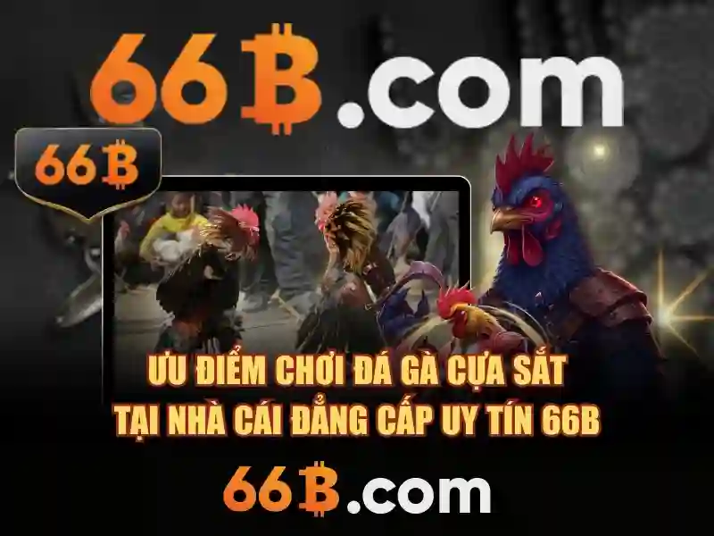  66B casino - 66B