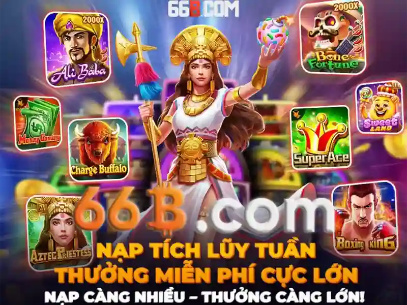  66b chính thức - 66B